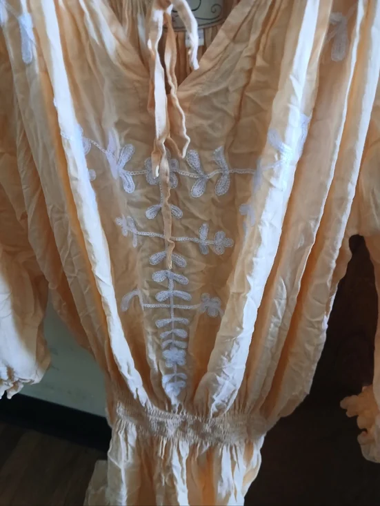 NWOT/ GAYA peach embroidered semi-sheer mini dress - Picture 6 of 9